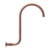 S Neck Shower Arm